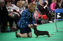 Crufts2011_2 949